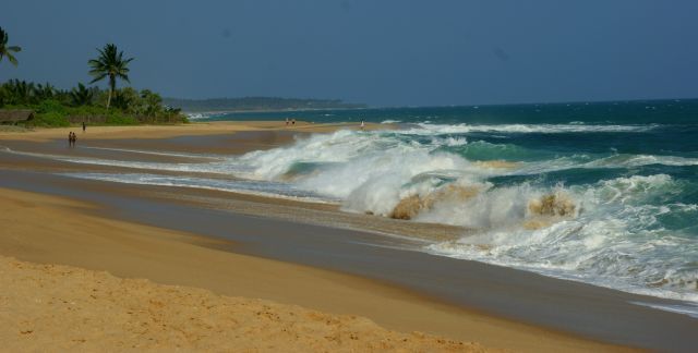 Zdjęcia: Tangale, Tangale, Plaża, SRI LANKA Zdjęcia: Tangale, Tangale, Plaża, SRI LANKA