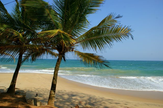 Zdjęcia: Tangale, Tangale, Palma, SRI LANKA Zdjęcia: Tangale, Tangale, Palma, SRI LANKA