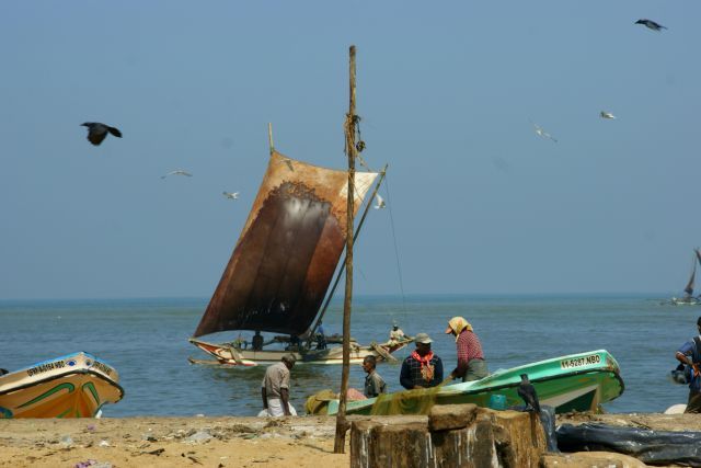 Zdjęcia: Nagambo, Nagambo, Po rybki , SRI LANKA Zdjęcia: Nagambo, Nagambo, Po rybki , SRI LANKA