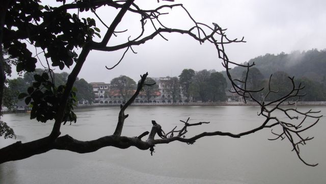 Zdjęcia: Kandy, Kandy, ... i jeszcze ..., SRI LANKA Zdjęcia: Kandy, Kandy, ... i jeszcze ..., SRI LANKA