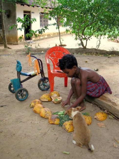 Zdjęcia: Madiha, ..., SRI LANKA Zdjęcia: Madiha, ..., SRI LANKA