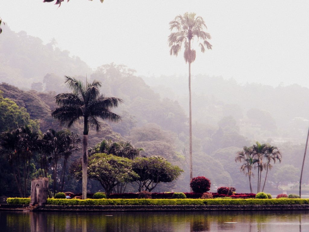 Zdjęcia: Kandy, centralny, jezioro w Kandy, SRI LANKA Zdjęcia: Kandy, centralny, jezioro w Kandy, SRI LANKA