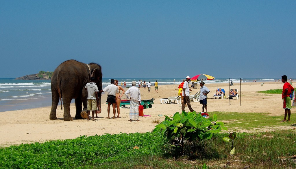 Zdjęcia: Beruwela, Beruwela, Plaża w Beruweli, SRI LANKA Zdjęcia: Beruwela, Beruwela, Plaża w Beruweli, SRI LANKA