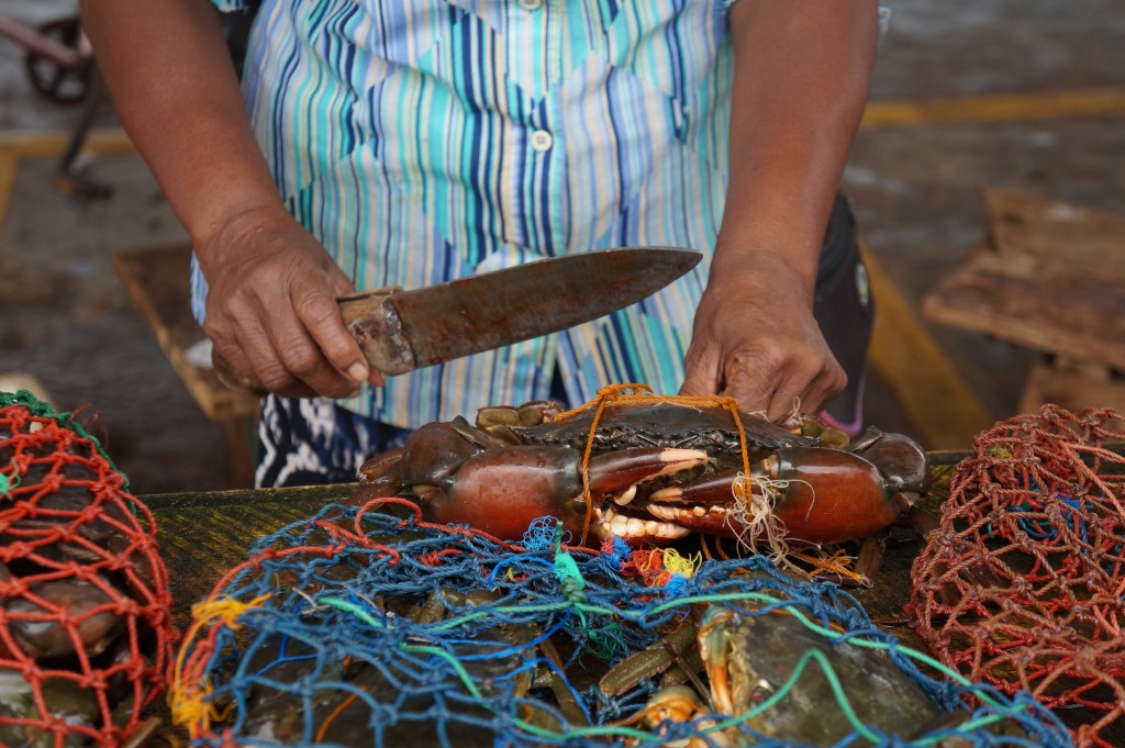 Zdjęcia: NEGOMBO, PROWINCJA ZACHODNIA, TARG RYBNY W NEGOMBO, SRI LANKA Zdjęcia: NEGOMBO, PROWINCJA ZACHODNIA, TARG RYBNY W NEGOMBO, SRI LANKA