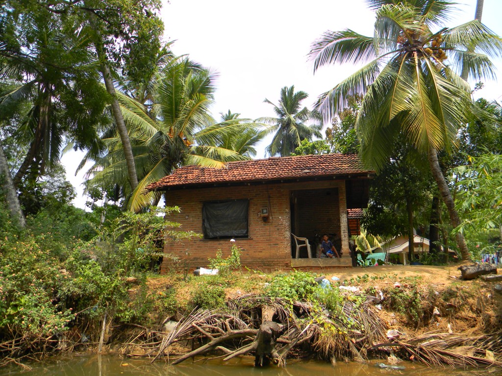 Zdjęcia: Waikkal, Negombo, u lokalesow, SRI LANKA Zdjęcia: Waikkal, Negombo, u lokalesow, SRI LANKA