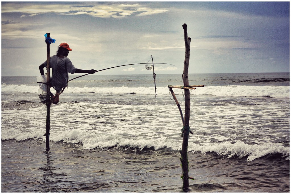 Zdjęcia: Weligama, Weligama, stilt fishermen, SRI LANKA Zdjęcia: Weligama, Weligama, stilt fishermen, SRI LANKA