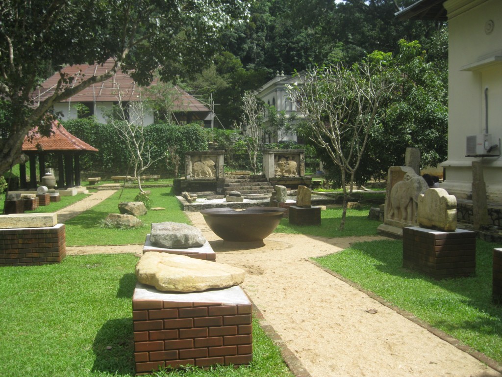 Zdjęcia: Sri Lanka, Sri Lanka, ogród cynamonowy, SRI LANKA Zdjęcia: Sri Lanka, Sri Lanka, ogród cynamonowy, SRI LANKA