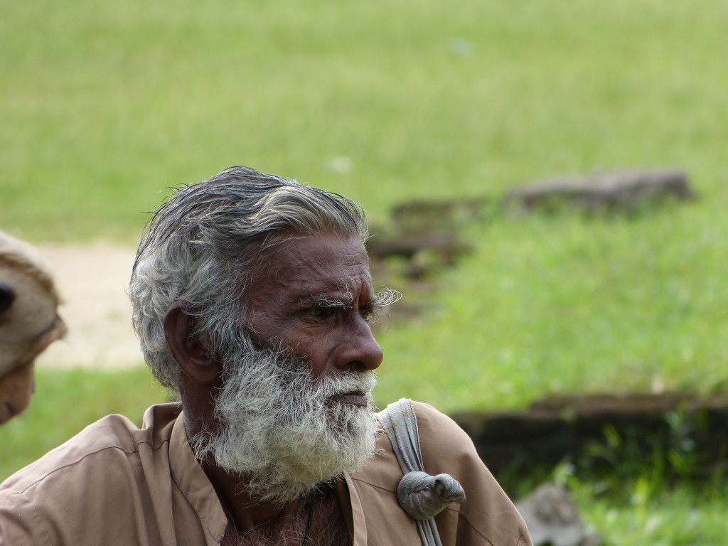 Zdjęcia: Polonnaruwa, Prowincja Północno-Centralna, Odpoczynek wędrowca, SRI LANKA Zdjęcia: Polonnaruwa, Prowincja Północno-Centralna, Odpoczynek wędrowca, SRI LANKA