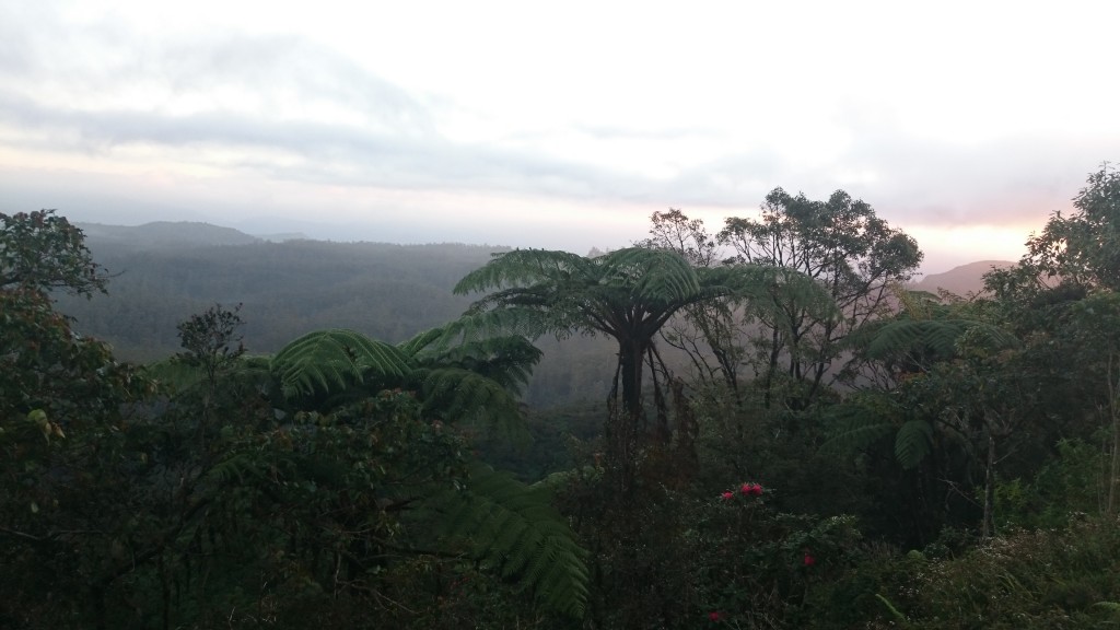 Zdjęcia: Park Narodowy Hortona , Nuwara Eliya , Wschodzące słońce, SRI LANKA Zdjęcia: Park Narodowy Hortona , Nuwara Eliya , Wschodzące słońce, SRI LANKA