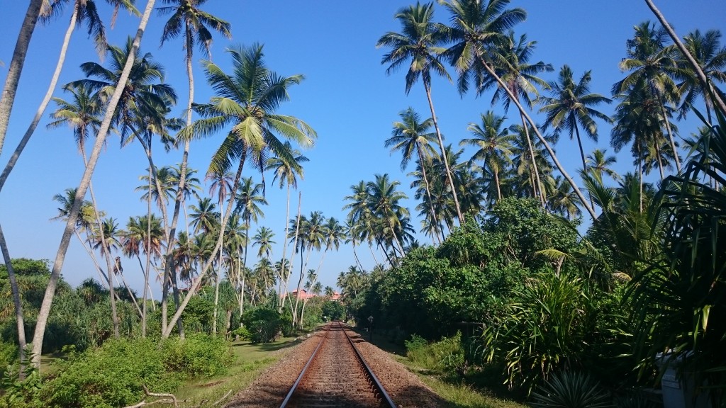 Zdjęcia: Bentota, Bentota, W drogę, SRI LANKA Zdjęcia: Bentota, Bentota, W drogę, SRI LANKA