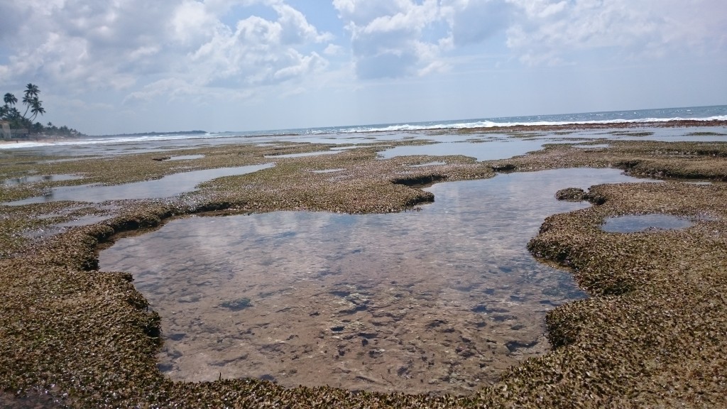 Zdjęcia: Hikkaduwa , Hikkaduwa , martwa rafa , SRI LANKA Zdjęcia: Hikkaduwa , Hikkaduwa , martwa rafa , SRI LANKA