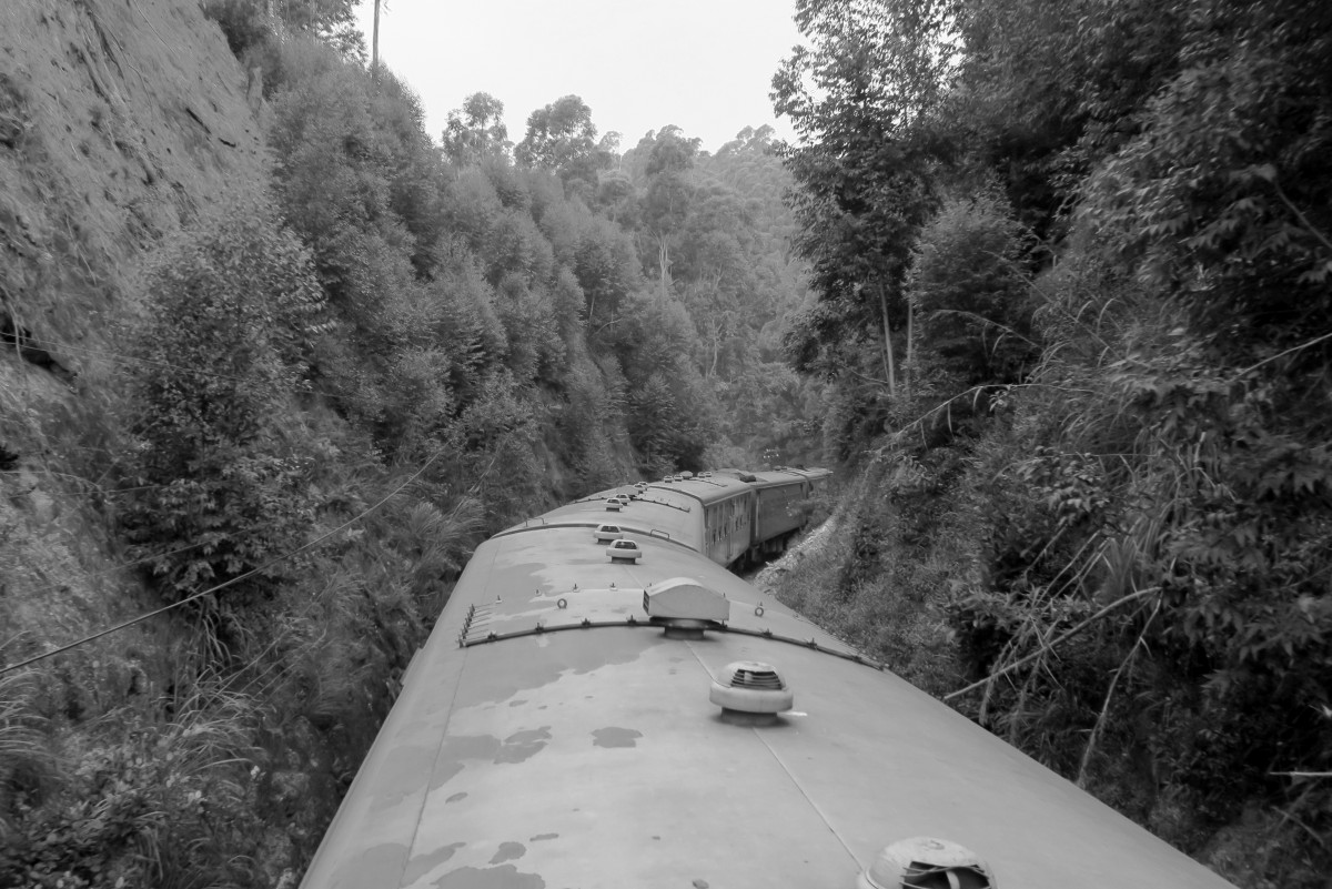 Zdjęcia: gdzie w drodze, Kandy, widok z dachu wagonu, SRI LANKA Zdjęcia: gdzie w drodze, Kandy, widok z dachu wagonu, SRI LANKA