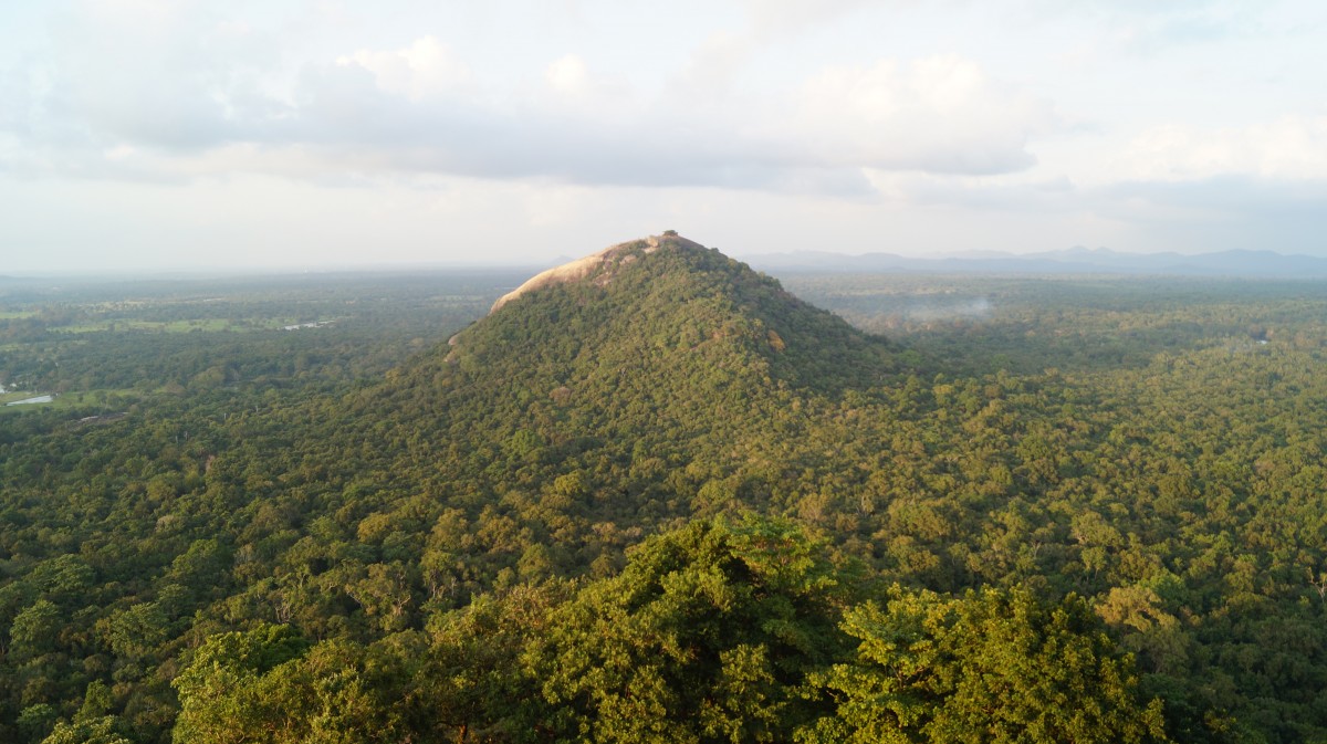 Zdjęcia: Sigiriya, Sigiriya, Widok z Sigiriyi, SRI LANKA Zdjęcia: Sigiriya, Sigiriya, Widok z Sigiriyi, SRI LANKA