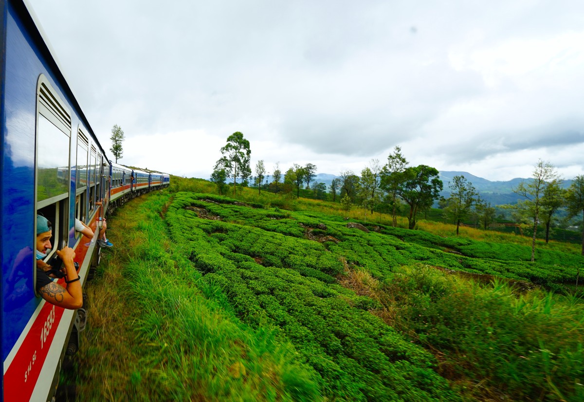 Zdjęcia: ., Haputale, Pociąg do herbaty, SRI LANKA Zdjęcia: ., Haputale, Pociąg do herbaty, SRI LANKA