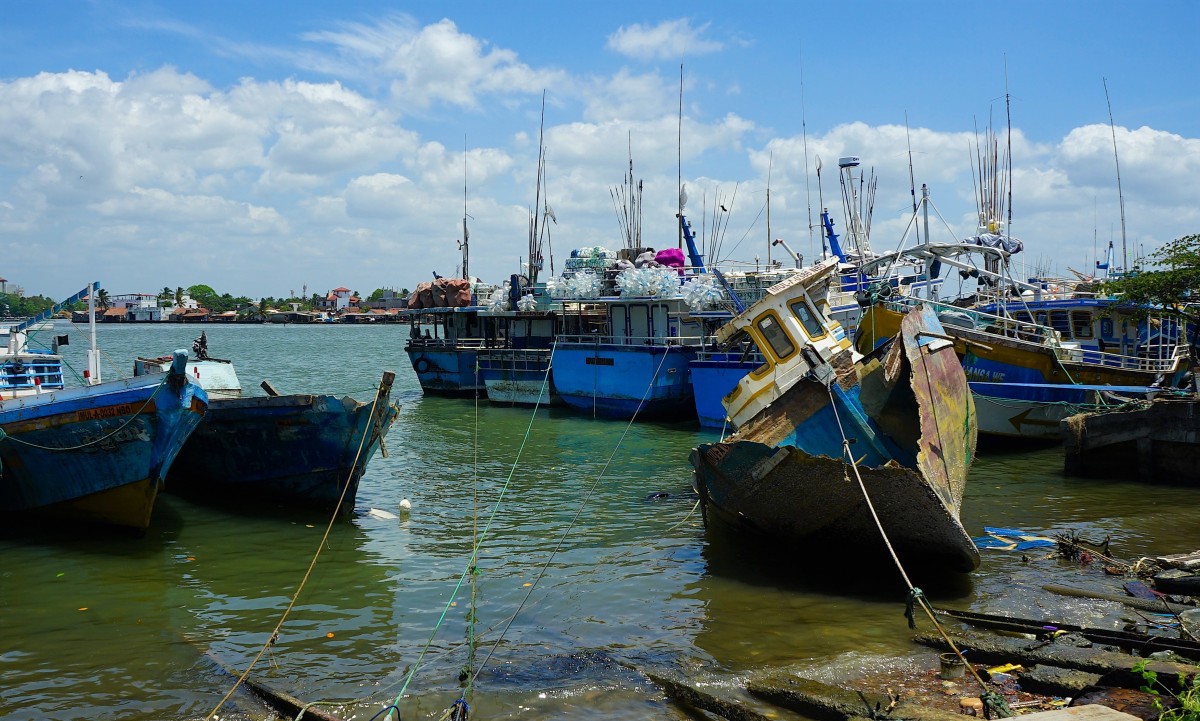 Zdjęcia: Wyspa Duwa, Negombo, Port rybacki, SRI LANKA Zdjęcia: Wyspa Duwa, Negombo, Port rybacki, SRI LANKA