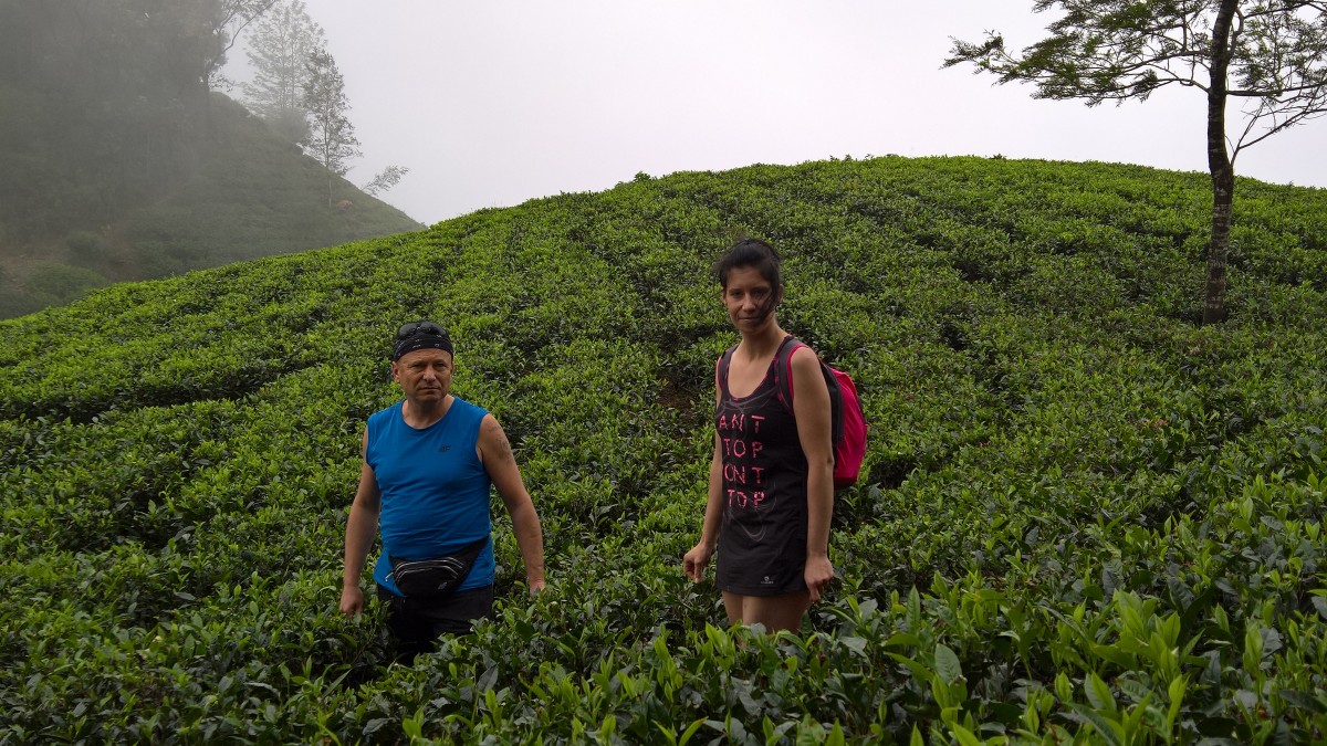 Zdjęcia: Ella, Srilanka, SRI LANKA Zdjęcia: Ella, Srilanka, SRI LANKA