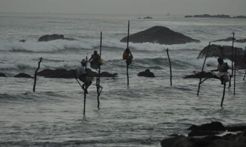 Zdjecie SRI LANKA / Matara / okolice Weligama / Wdkarze na patykach