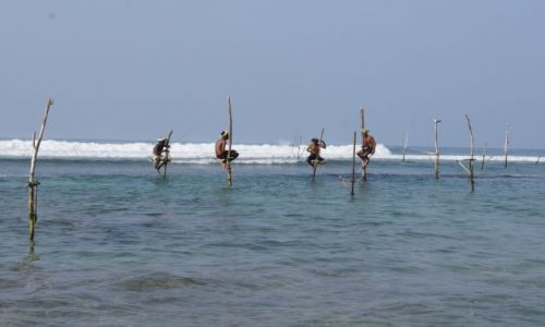Zdjecie SRI LANKA / SRI LANKA / AHANGAMA / WDKARZE