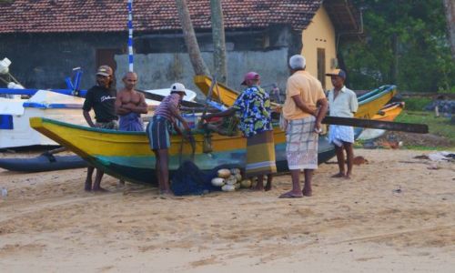 Zdjecie SRI LANKA / Poudnie Wyspy /   / Przed poowem