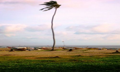 Zdjecie SRI LANKA / Poudniowy Zachd Wyspy / gdzie / Na przekr Tsunami