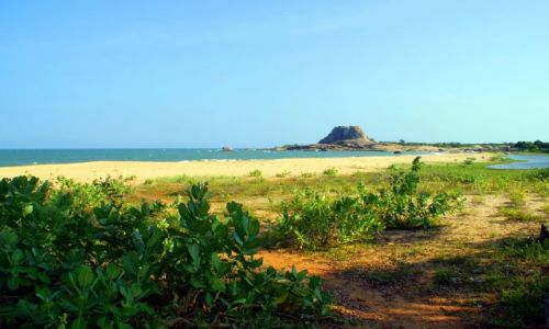 Zdjęcie SRI LANKA /  Yale /   / Dzika