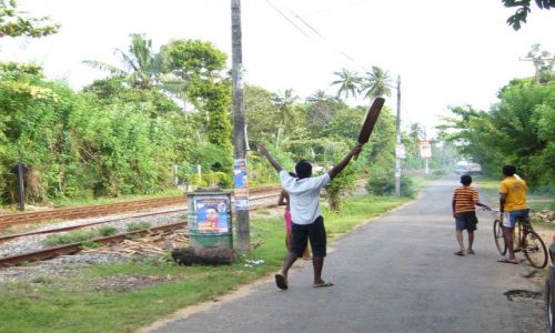 Zdjęcie SRI LANKA / ewrywhere / ewrywhere / Narodowa gra Lankijczyków - Krykiet