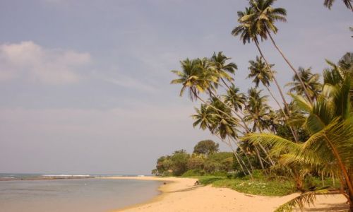 Zdjcie SRI LANKA / Zachodni / Beruwela / Plaa