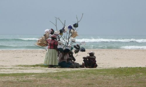 Zdjecie SRI LANKA / beruwela / plaa / pod kapeluszowym drzewem