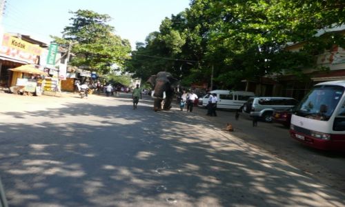Zdjecie SRI LANKA / - / ulica / ulice srilanki