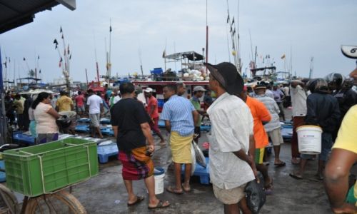 Zdjęcie SRI LANKA / kalutara / rybny bazar / rybny bazar