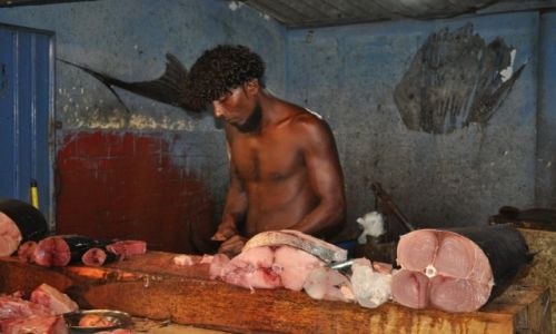 Zdjecie SRI LANKA / kalutara / kalutara / rybny bazar