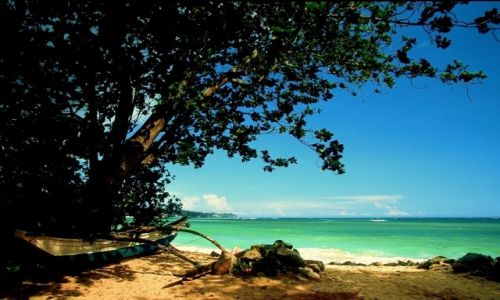 Zdjecie SRI LANKA / Poludnie / Unawatuna / Sri Lanka 51