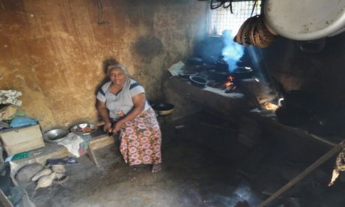 Zdjęcie SRI LANKA / - / Peradeniya / konkurs