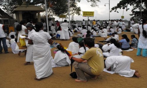 Zdjęcie SRI LANKA / Kalutara / sanktuarium / KONKURS