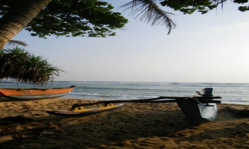 Zdjęcie SRI LANKA / południowe wybrzeże / Mirissa / Mirissa