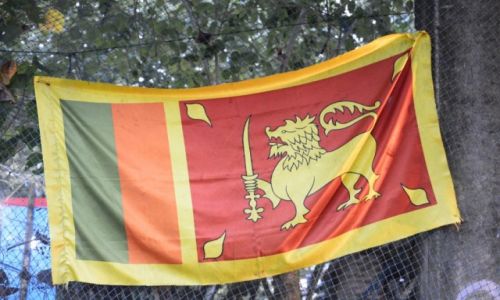 Zdj�cie SRI LANKA / anuradhapura / buddha tree / buddyjsko 