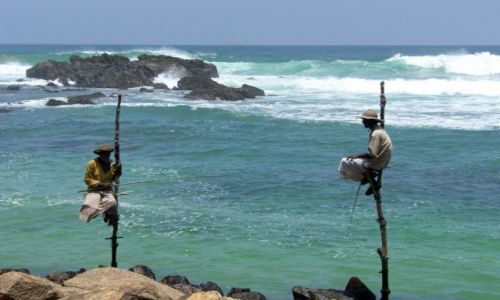 Zdjecie SRI LANKA / - / okolice Koggala / poowy na kiju