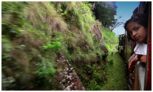 Zdjecie SRI LANKA / Nuwara Elya / Pocig do Nuwara Elya / Lankijka