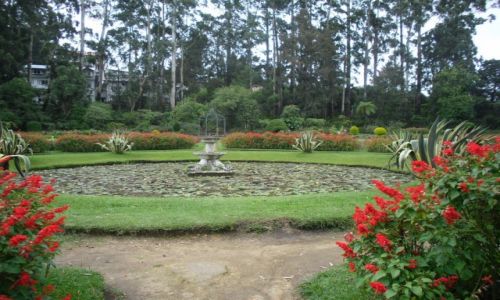 Zdjęcie SRI LANKA / NUWARA ELIYA / PARK VICTORIA / VICTORIA PARK