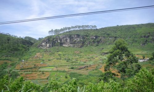 Zdjcie SRI LANKA / NUWARA ELIYA / NUWARA ELIYA / OKOLICE  NUWARA ELIYA 