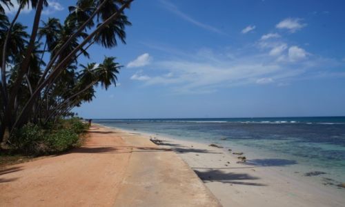 Zdjecie SRI LANKA / WSCHODNIA PROWINCJA / NILAVELI / PLAA KOO NILAVELI