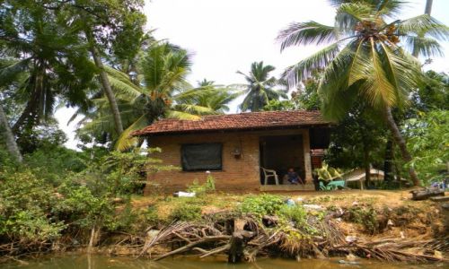 Zdjęcie SRI LANKA / Negombo / Waikkal / u lokalesow