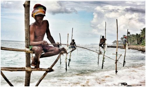 Zdjcie SRI LANKA / Weligama / Weligama / stilt fishermen