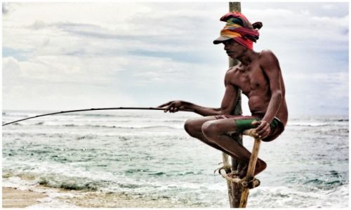 Zdjcie SRI LANKA / Weligama / Weligama / stilt fishermen
