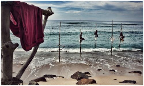 Zdj�cie SRI LANKA / Weligama / Weligama / stilt fishermen