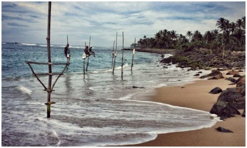 Zdjecie SRI LANKA / Weligama / Weligama / stilt fishermen