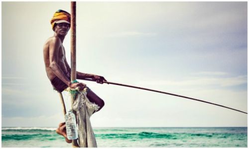 Zdjęcie SRI LANKA / Weligama / Weligama / stilt fishermen