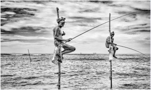 Zdjęcie SRI LANKA / Weligama / Weligama / stlilt fishermen