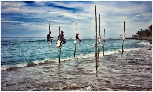 Zdjecie SRI LANKA / Weligama / Weligama / stlilt fishermen