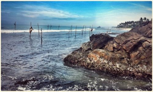 Zdjęcie SRI LANKA / Weligama / Weligama / stilt fishermen